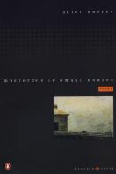 Mysteries Of Small Houses