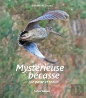 Mystérieuse Bécasse : Elle Passe Et Séduit...