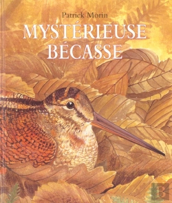 Bertrand.pt - Mysterieuse Becasse