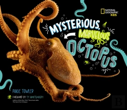 Bertrand.pt - Mysterious, Marvelous Octopus!