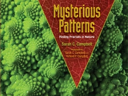 Bertrand.pt - Mysterious Patterns