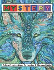 Mystery Color By Number Coloring Book For Adult