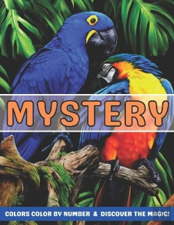 Bertrand.pt - Mystery Colors Color By Number & Discover The Magic!