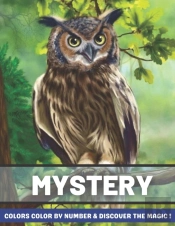 Mystery Colors Color By Number & Discover The Magic