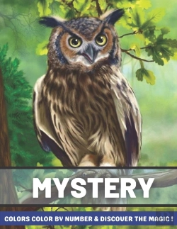 Bertrand.pt - Mystery Colors Color By Number & Discover The Magic