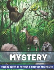 Mystery Colors Color By Number & Discover The Magic