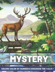 Mystery Colors Color By Number & Discover The Magic