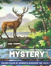 Mystery Colors Color By Number & Discover The Magic