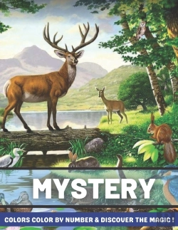 Bertrand.pt - Mystery Colors Color By Number & Discover The Magic