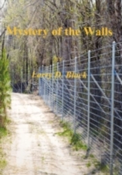 Mystery Of The Walls