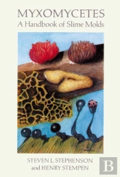 Myxomycetes