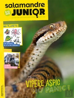 Bertrand.pt - N 124 La Salamandre Junior - Juin Juillet 2019