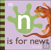 N Is For Newt