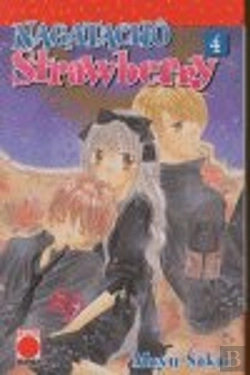 Bertrand.pt - Nagatacho Strawberry 4