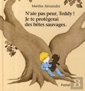 N'Aie Pas Peur Teddy, Je Te Protègerai
