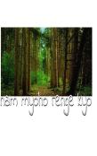 Nam Myho Range Kyo   Nature  Buddhist  Creative  Journal