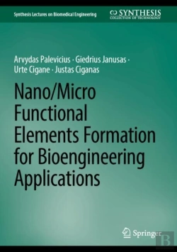 Bertrand.pt - Nano/Micro Functional Elements Formation For Bioengineering Applications