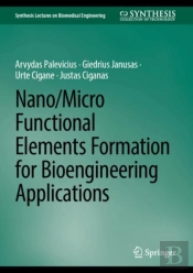 Nano/Micro Functional Elements Formation For Bioengineering Applications