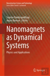 Nanomagnets As Dynamical Systems