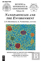 Nanoparticles And The Environment