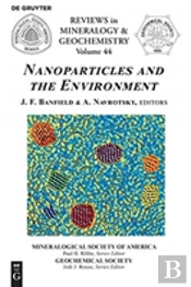 Nanoparticles And The Environment