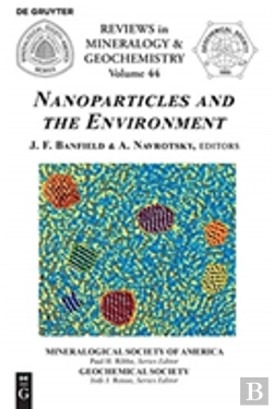 Bertrand.pt - Nanoparticles And The Environment