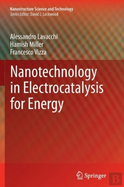 Bertrand.pt - Nanotechnology In Electrocatalysis For Energy