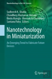 Nanotechnology In Miniaturization