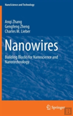 Bertrand.pt - Nanowires