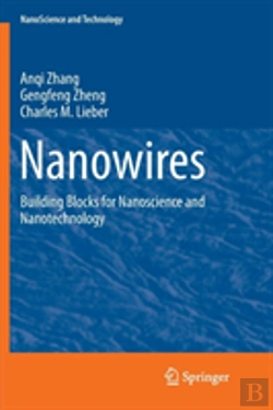 Bertrand.pt - Nanowires