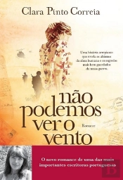 Não Podemos Ver o Vento