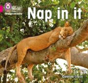 Nap In It