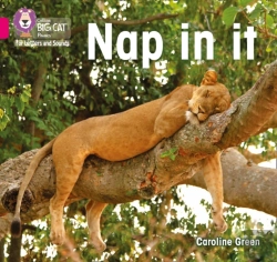Bertrand.pt - Nap In It