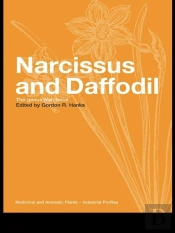 Narcissus And Daffodil