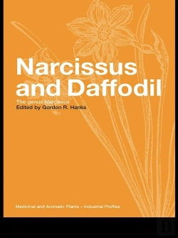 Bertrand.pt - Narcissus And Daffodil