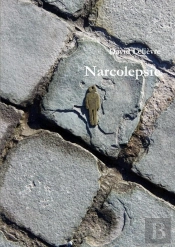 Narcolepsie