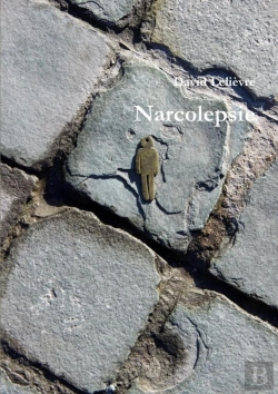 Bertrand.pt - Narcolepsie