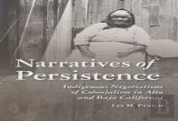 Narratives Of Persistence
