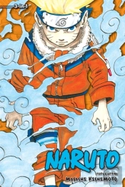 Naruto (3-In-1 Edition), Vol. 1