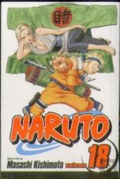 Naruto, Vol. 18