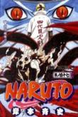Naruto, Vol. 47