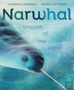 Bertrand.pt - Narwhal