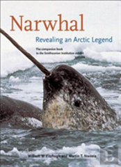 Narwhal