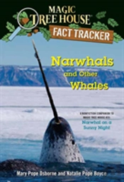 Narwhals And Other Whales