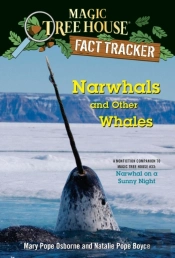 Narwhals And Other Whales