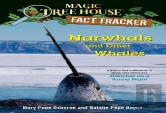 Narwhals And Other Whales