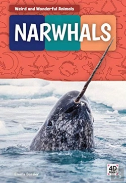 Bertrand.pt - Narwhals