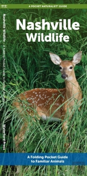 Nashville Wildlife