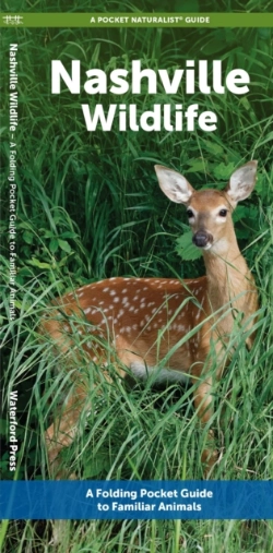 Bertrand.pt - Nashville Wildlife