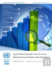 National Accounts Studies Of The Arab Region